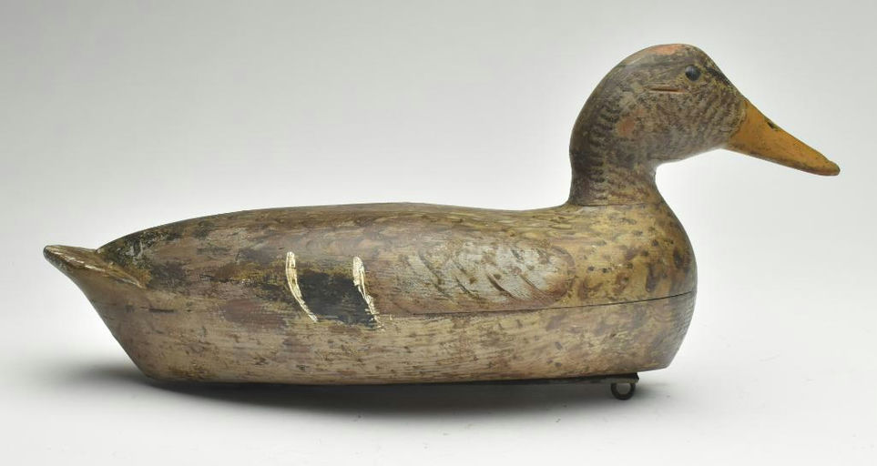 Bert Graves – Mallard – 2023