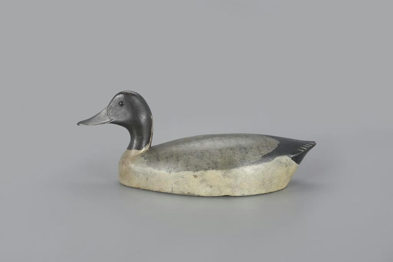 Charles Reeves – Pintail Drake – 2023