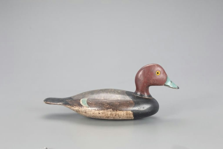George Stevens – Redhead Drake – 2021
