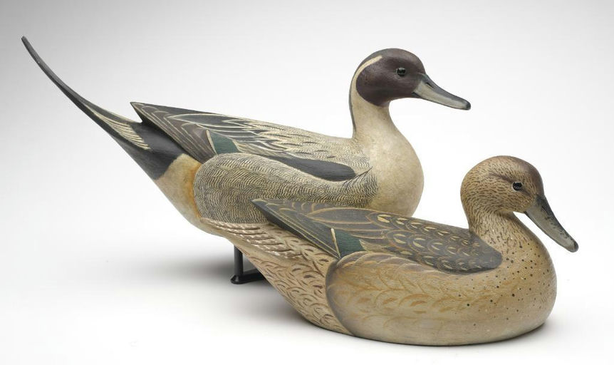 Reggie Birch – Pintail – 2023