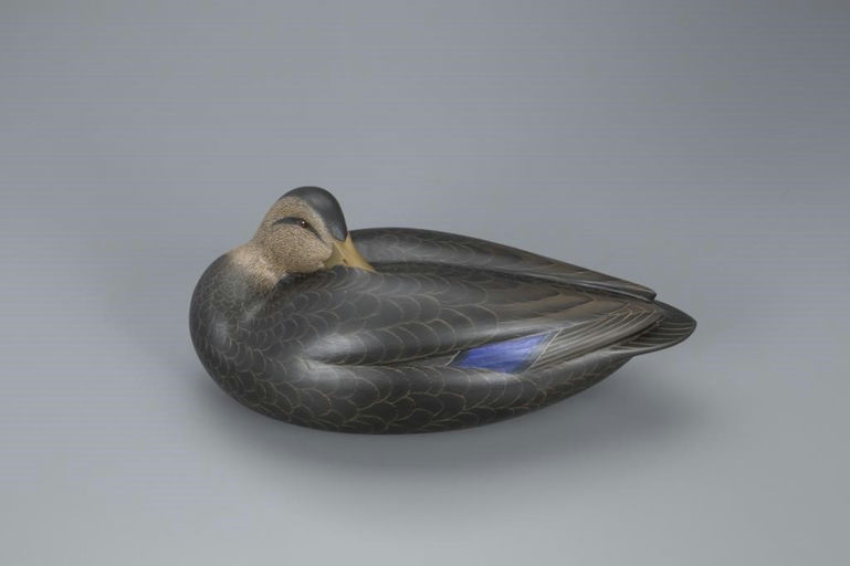 Keith Mueller – Sleeping Black Duck – 2020