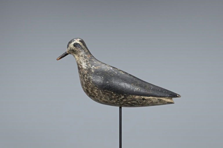 Mr. Bronsdon – Golden Plover – 2019