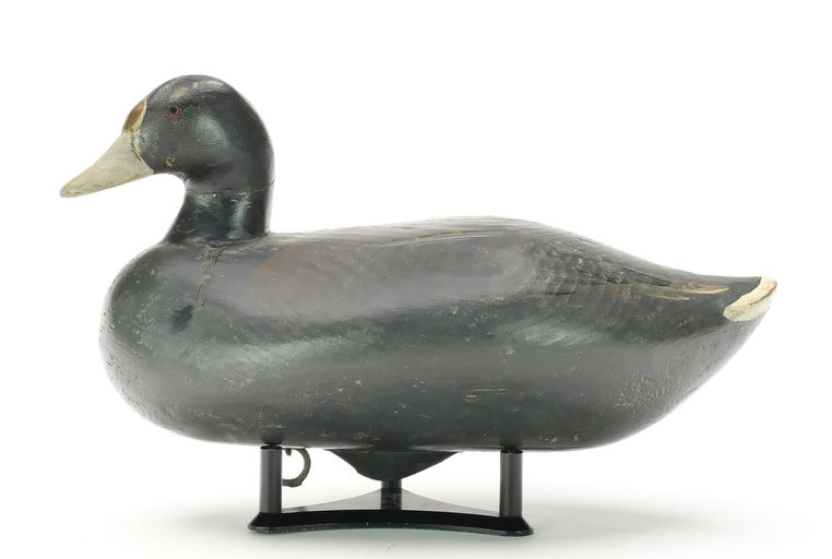 R. Madison Mitchell – Coot – 2024