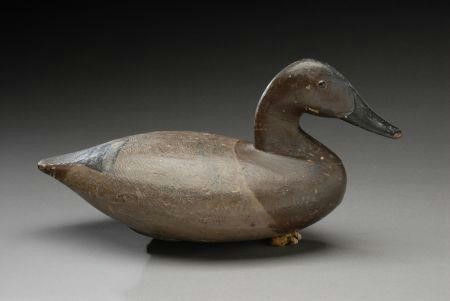 Standley Evans – Canvasback Hen – 2007