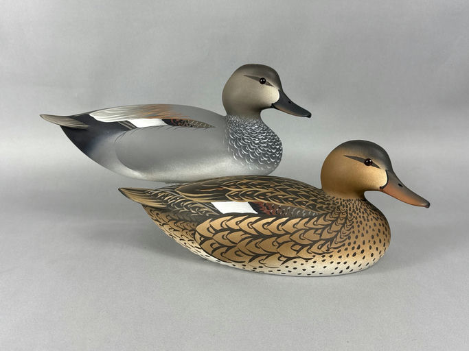 Oliver Lawson – Gadwall – 2026