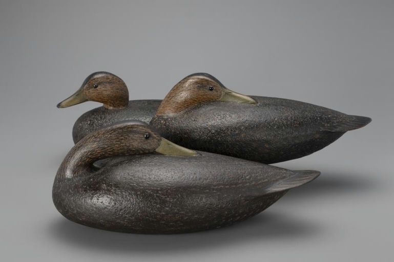 David Ward – Three Cork Black Ducks – 2018