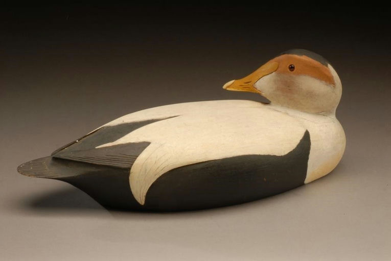 George Soule – Eider Drake – 2008