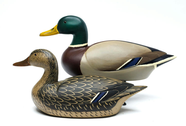 William Bill Neal – Mallard – 2026
