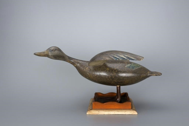 Ira Hudson – Standing Black Duck – 2017