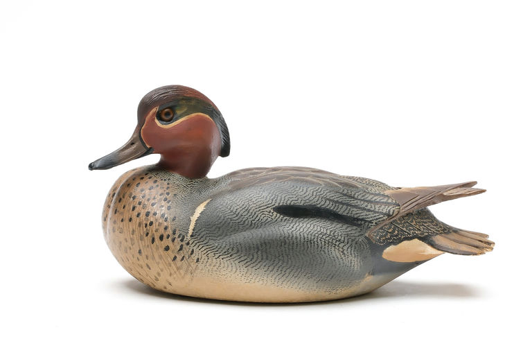 Ward Brothers – Decorative Green-winged Teal – 2026