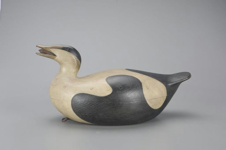 Mark McNair – Eider with Mussel – 2023