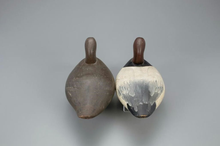 Paul Gibson – Canvasback Pair – 2021