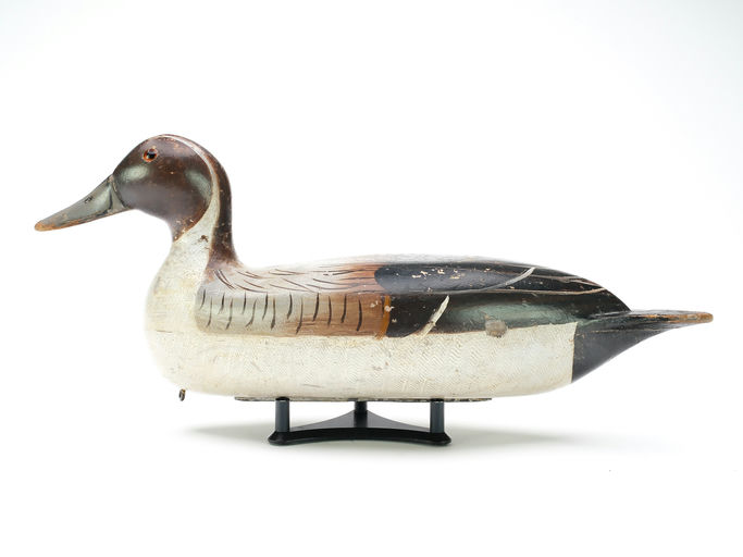 Bert Graves – Pintail – 2025