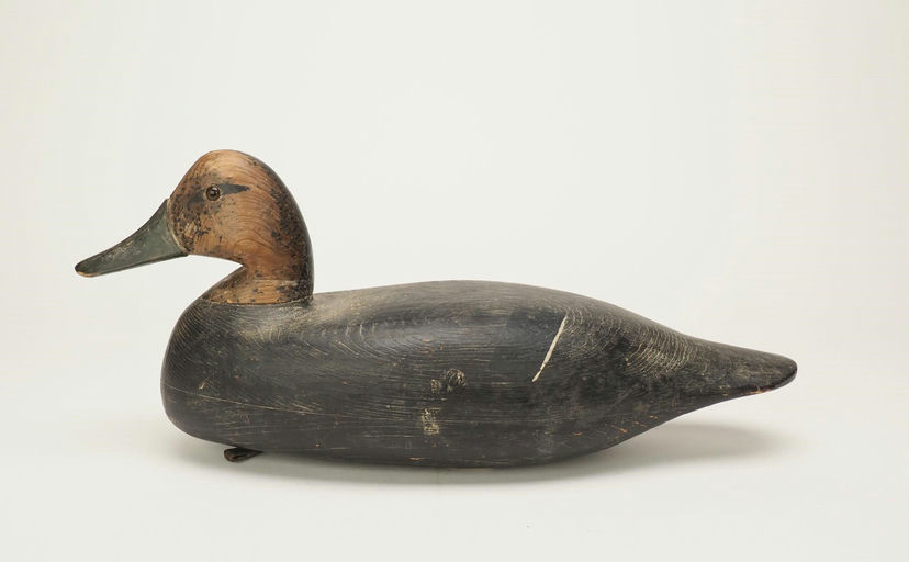 Ellis Parker — Black Duck