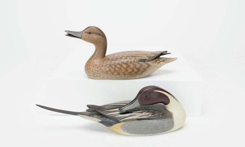 William Bill Johnson — Pintail Pair