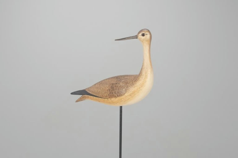 Steve Weaver – Turned-Head Yellowlegs – 2022