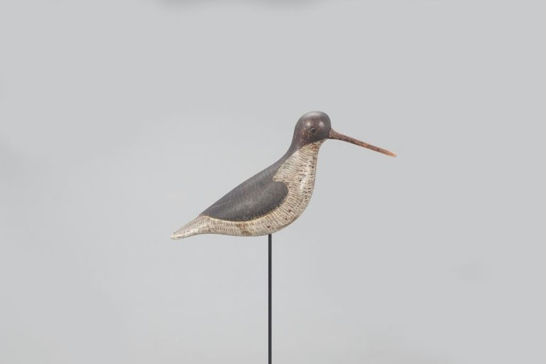 Verity Family – Exceedingly Rare Willet – 2021