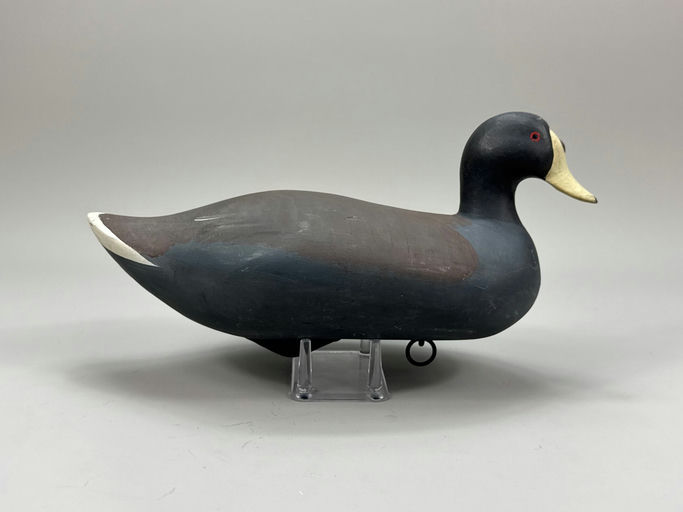 R. Madison Mitchell – Coot – 2026