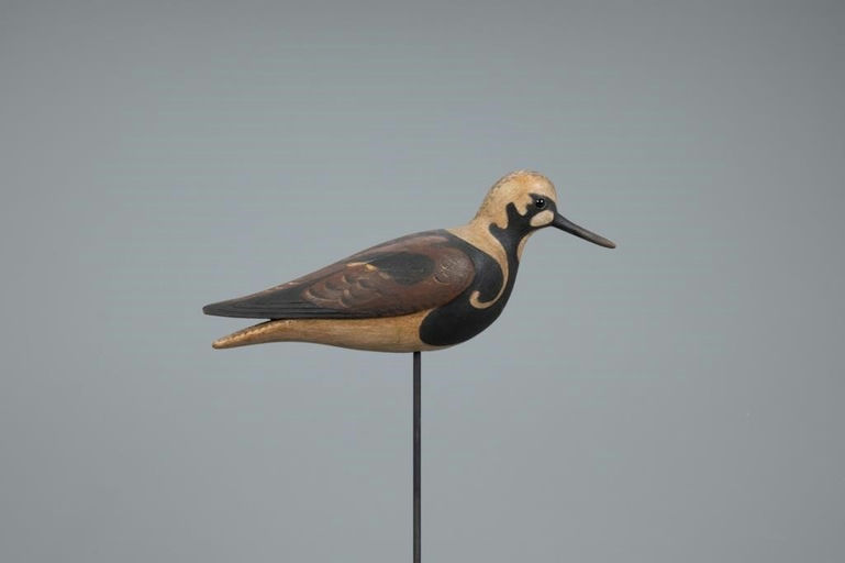 Mark McNair – Ruddy Turnstone – 2020
