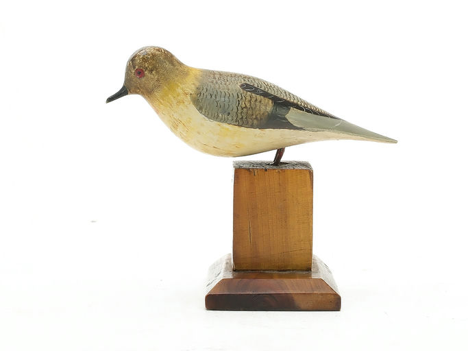 George Boyd – Passenger Pigeon – 2025