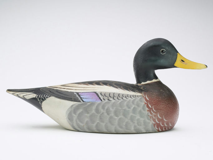 Elmer Crowell – Mallard – 2024