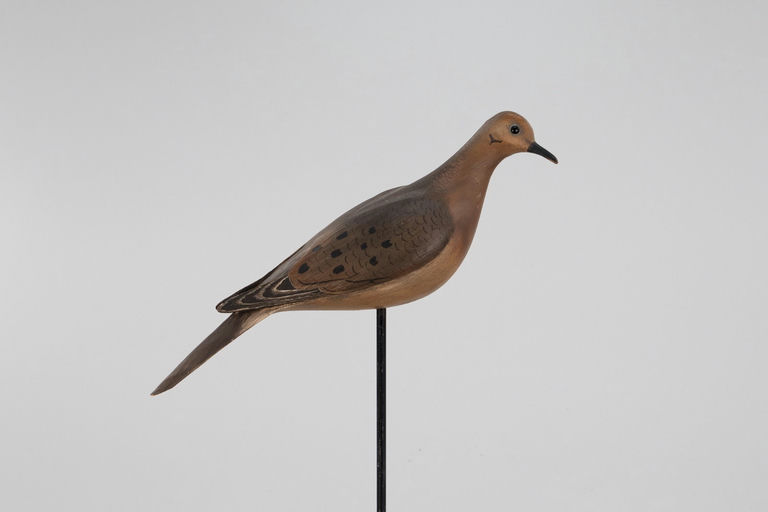 Bill Gibian – Dove – 2026