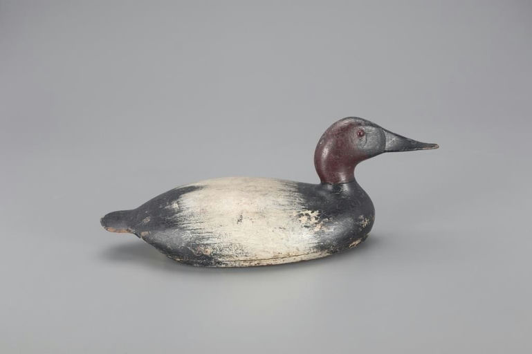 Robert Heath – Canvasback Drake – 2021