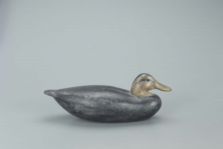 Benjamin Holmes – Black Duck – 2022