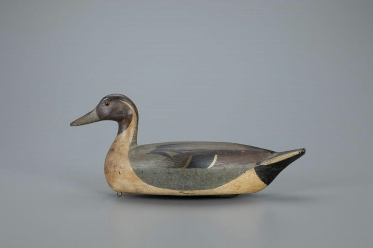 Heck Whittington – Pintail Drake – 2020