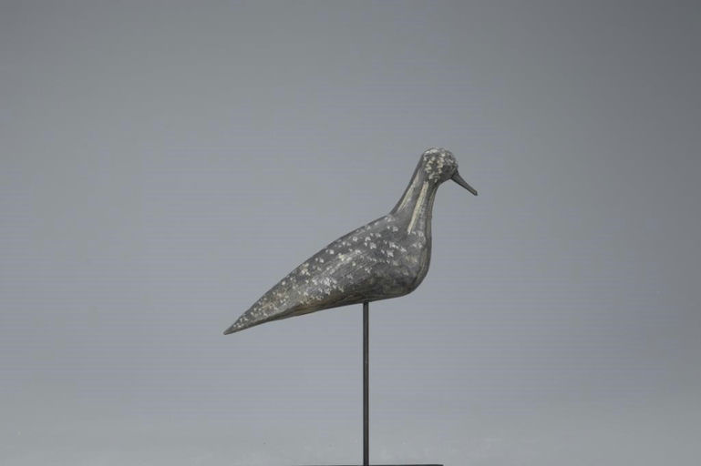 Jonas Sprague – Exceedingly Rare Black-bellied Plover – 2020
