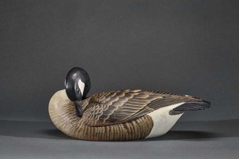 Ward Brothers – Preening Canada Goose – 2017