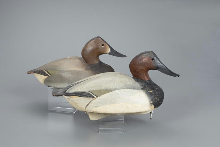 Ward Brothers – Canvasback Pair – 2020