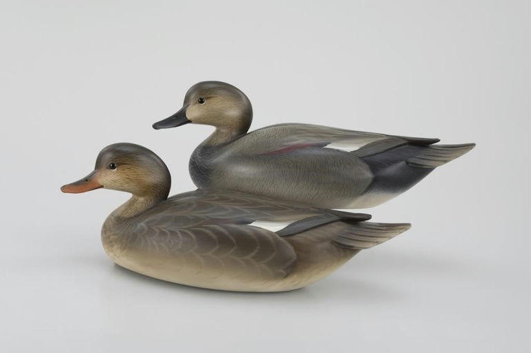 George Strunk – Gadwall Pair – 2026