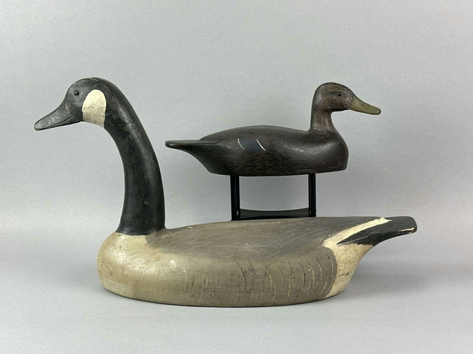 Ron Koch – Canada Goose and Black Duck – 2026