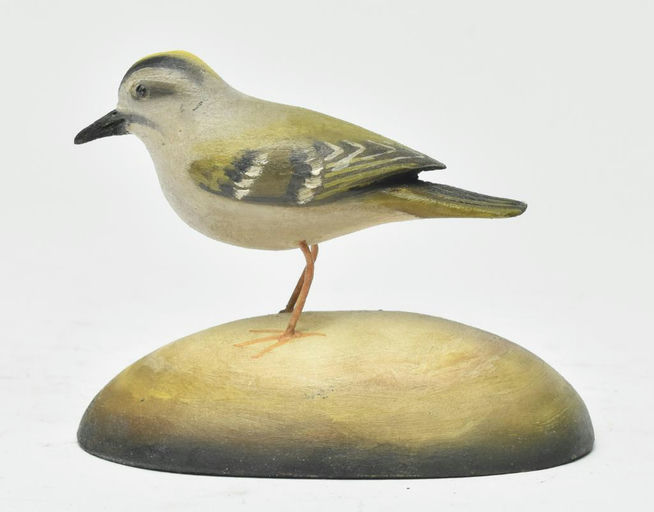Frank Finney – Miniature golden-crowned kinglet – 2023