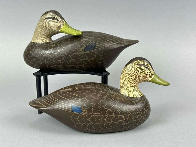 Lloyd Havens – Black Duck – 2026