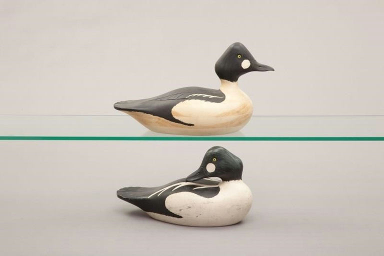 Gerald B. Smith – Two Goldeneye Drakes – 2011