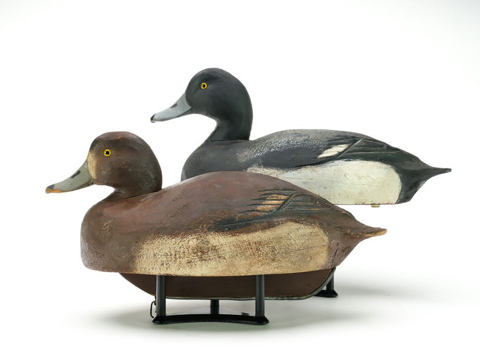 Ben Schmidt – Pair of Bluebill – 2025
