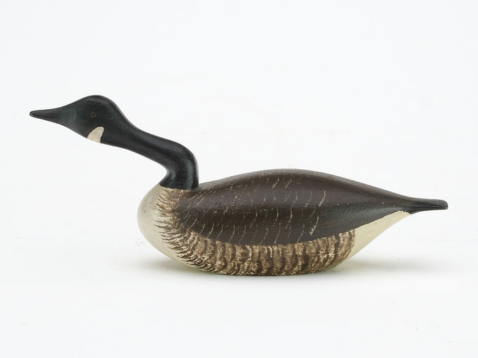 Joseph Lincoln – Canada Goose – 2024