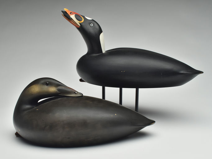 Keith Mueller – Pair of Scoter – 2023
