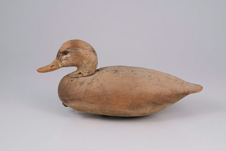 Ira Hudson – Black Duck – 2026