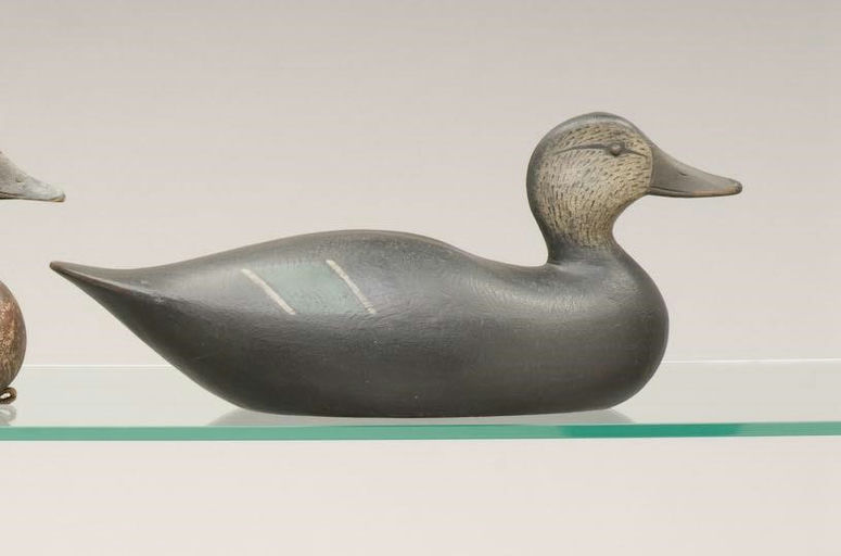 Joseph Lincoln – Black Duck – 2010