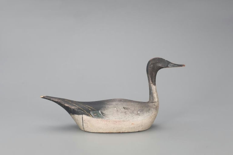 Herman R. Trinosky – Kankakee Pintail Drake – 2021