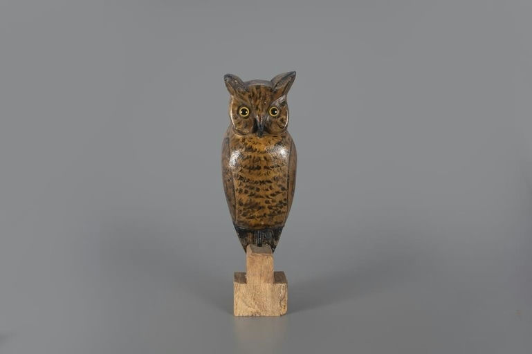 William Doren – Great Horned Owl – 2024