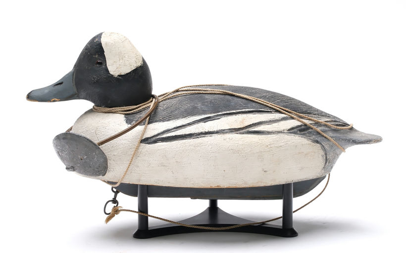 Ben Schmidt – Bufflehead – 2026