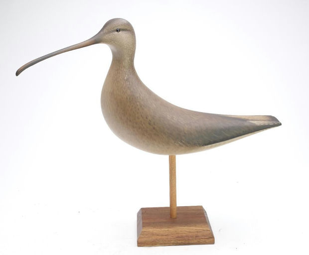Sean Sutton – Curlew – 2023
