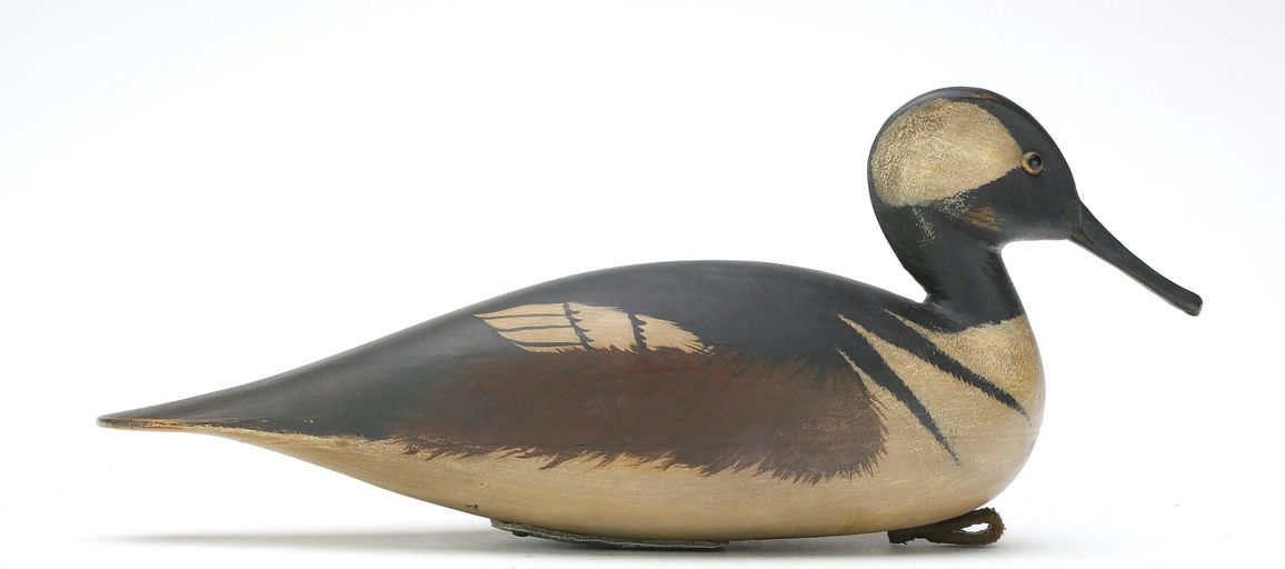 Bob White – Hooded Merganser – 2024