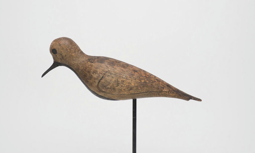 William A. Bill Harris — Black Bellied Plover