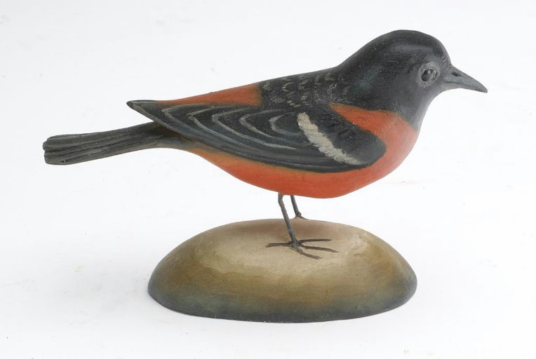 Frank Finney – Orchard oriole – 2023