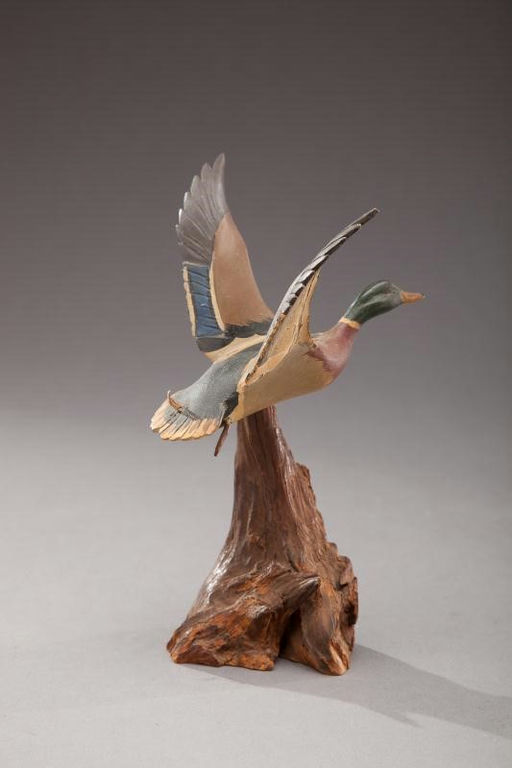 Russ Burr – Flying Miniature Mallard – 2012